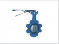 	 Lug Butterfly Valve 1