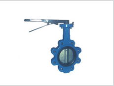 	 Lug Butterfly Valve