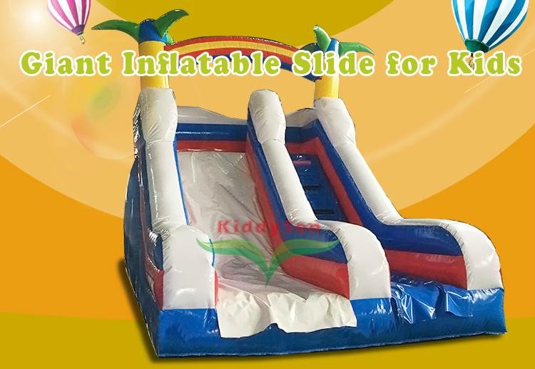 Theme Inflatable Slide 2