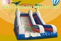 Theme Inflatable Slide 2