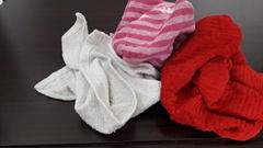 Mix Colour Terry Towels Rags