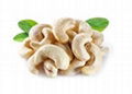 Cashew Kernel W240, W320 1