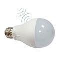 DC AC 36V 7W Low voltage Motion Sensor LED Bulb