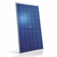 Hot Sale 265W Polyocrystalline Solar Panel with a cheap price from China Supplie