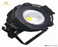 100W COB warm white light 3