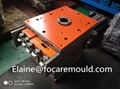 PET bottle Cap Mould 4