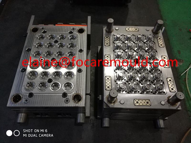 PET bottle Cap Mould 2