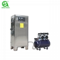 100g/hr ozone generator for swimming