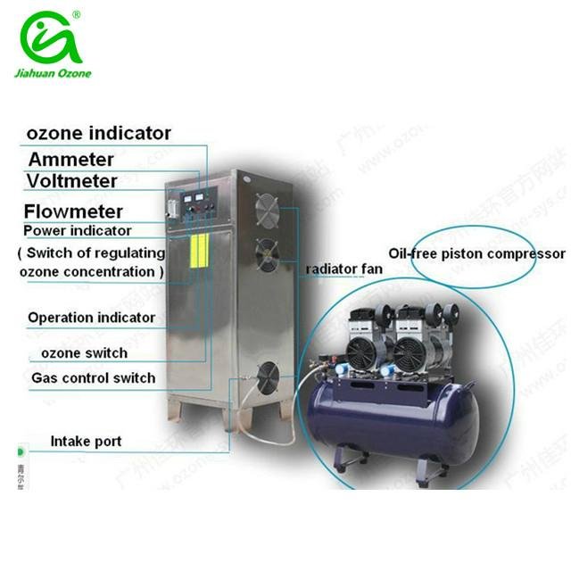 100g/hr ozone generator for swimming pool cleaning  3