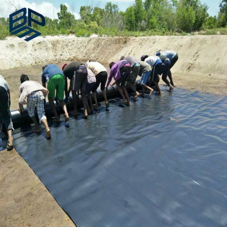 fish farm pond liner hdpe membrane price 4