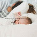 Sn   le Me Organic The Original Co-Sleeping Baby Bed