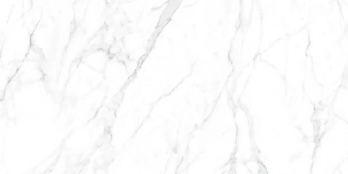 Carrara Marble Tile Floor Tile 2