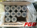 FGB deep groove ball bearing 6310 open