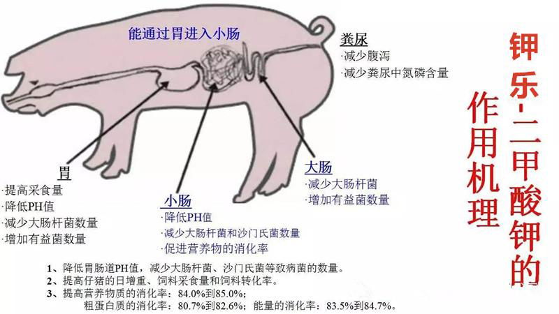 歐盟批准替抗飼料添加劑二甲酸鉀