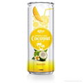 Beverage wholesale Mango Flavour Sparkling Coconut Water 1