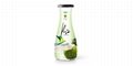 Juice Packaging Design Coconut Water Kiwi Flavour( RITA Beverage)