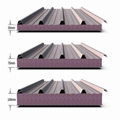 TPS sandwich panel