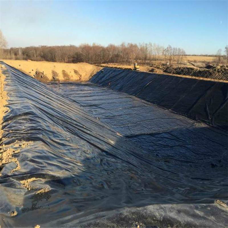 Wholesale superior quality geomembrane with China better price 4