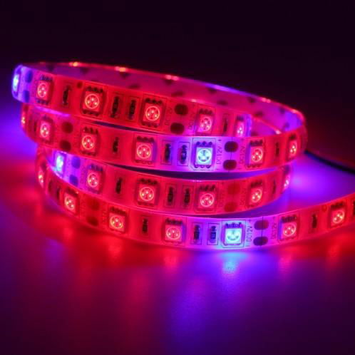 5M Plant Growing 5050 Strip 12V LED Light Hydroponic Red Blue 5:1