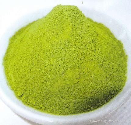 Matcha / Japanese Green Tea Powder SP- 525 3