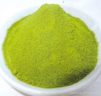 Matcha / Japanese Green Tea Powder SP- 525 2