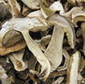 Dried Boletus Edulis sliced 1