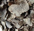 Black Truffle 1