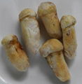 Frozen Matsutake 1