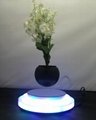 magnetic floating levitation air bonsai flowerpot plant 5