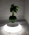 new promotion gift levitating floating  bonsai plant  tree pot  1