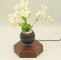 magneticfloating levitation  planter pot bonsai tree gift home 