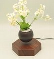 magneticfloating levitation  planter pot bonsai tree gift home 