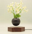 magneticfloating levitation  planter pot bonsai tree gift home  6