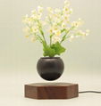 magneticfloating levitation  planter pot bonsai tree gift home 