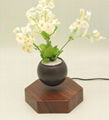 rotating hexagon magnetic floating levitation  air bonsai pot planter for gift 