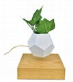  magnetic levitation plant pot air bonsai for decoration gift  2