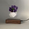new magnetic levitation floating plant pot flower air bonsai for gift decoration