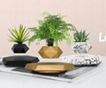hotsale magnetic levitaiton rotating plant air bonsai flwoerrpot indoor gift 