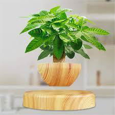 round base magnetic levitation floating air bonsai plant pot gift