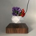 360 spinning magnetic levitation floating desk plant flowerpot air bonsai tree