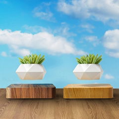 360 spinning magnetic levitation floating desk plant flowerpot air bonsai tree