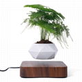 360 spinning magnetic floating levitaiton desk air bonsai plant flowerpot 