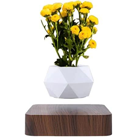 square base magnetic levitation floating desk air bonsai plant pot for decor 2