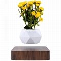 square base magnetic levitation floating desk air bonsai plant pot for decor