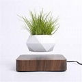 square base magnetic levitation floating desk air bonsai plant pot for decor