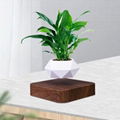 square base magnetic levitation floating desk air bonsai plant pot for decor