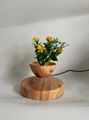 wooden magnetic floating floating desk air bonsai flowerpot plant 