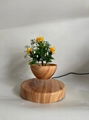 wooden magnetic floating floating desk air bonsai flowerpot plant 