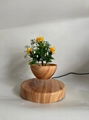 wooden magnetic floating floating desk air bonsai flowerpot plant  4