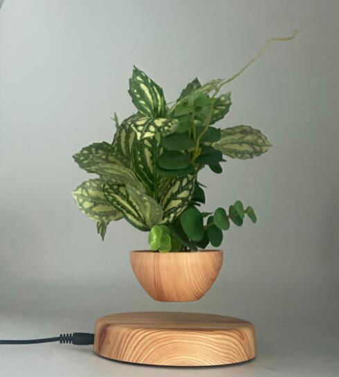 wooden magnetic floating floating desk air bonsai flowerpot plant 